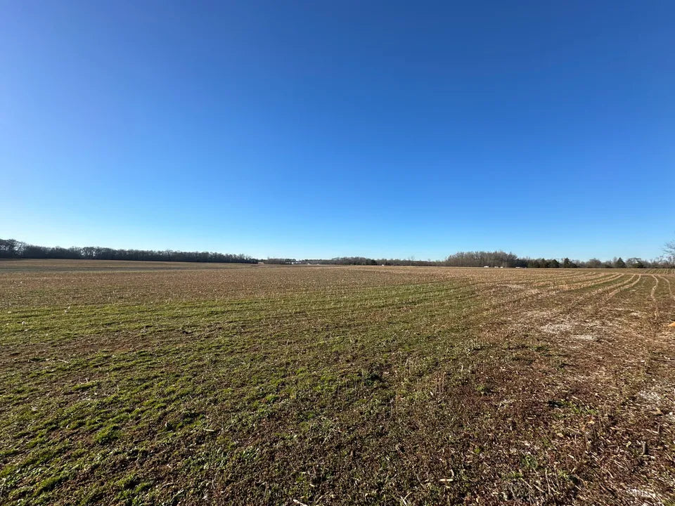 164 Acres - Hwy 24 Moulton, AL